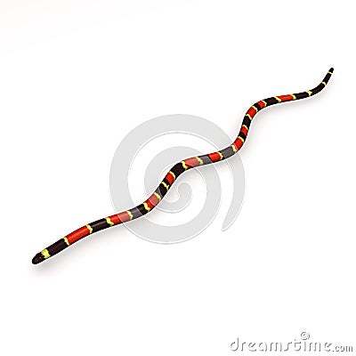Coral snake Stock Photo