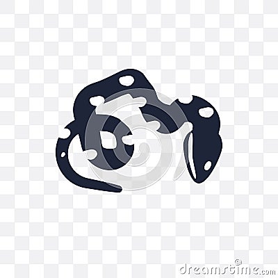 coral snake transparent icon. coral snake symbol design from Animals collection. Vector Illustration