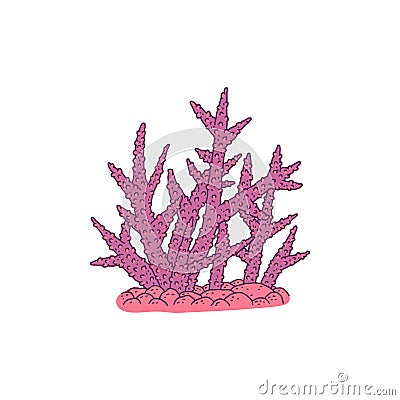 Coral. Vector coralline reef ocean animal underwater life doodle line isolated illustration. Vector Illustration