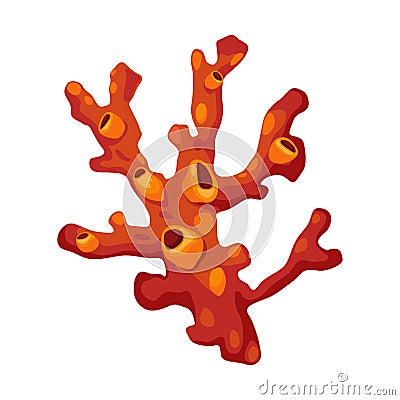 Coral vector Vector Illustration