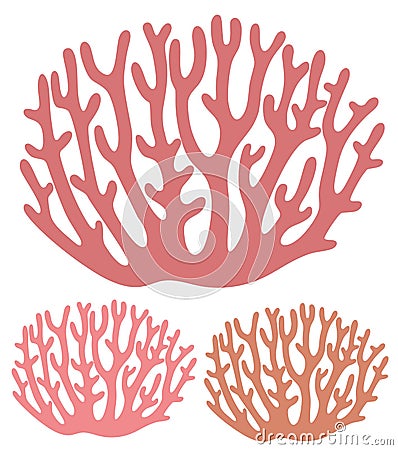 Coral Vector Illustration