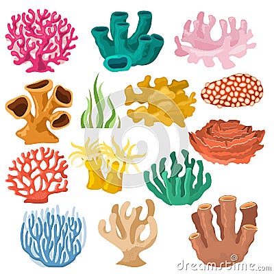 Coral vector sea coralline or exotic cooralreef undersea illustration coralloidal set of natural marine fauna in ocean Vector Illustration