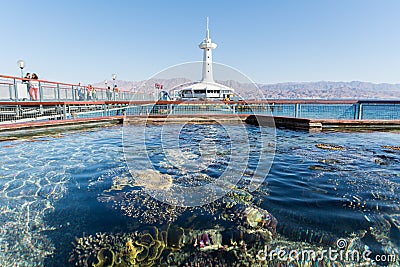 At Coral World Underwater Observatory in Eilat Editorial Stock Photo