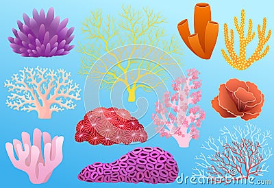 Corals Vector Illustration