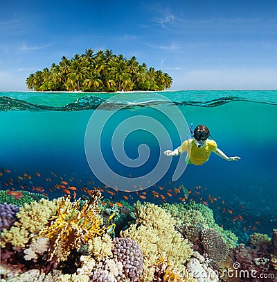 Corals, diver and palm island Stock Photo