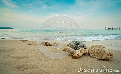 Corals on sand beach by the sea with blue sky and white clouds. Summer vacation on tropical paradise beach concept. Ripple Stock Photo