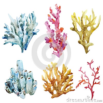 Corals with shells and crabs Stock Photo