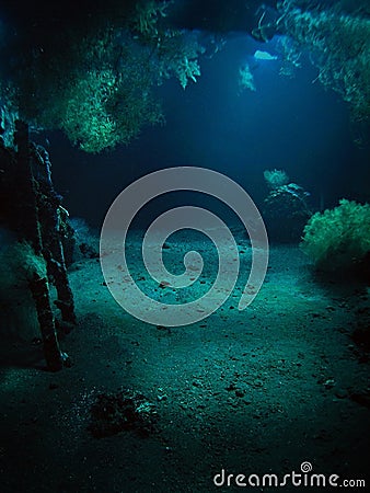 Corals in USS Liberty shipwreck Stock Photo