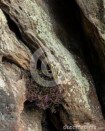 Corby Crags Stock Photo