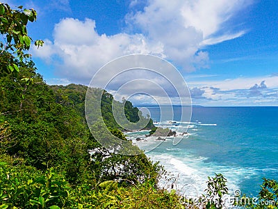 Corcovado National Park Stock Photo