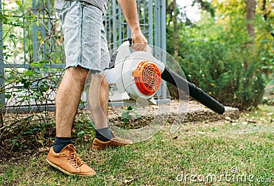 Cordless Leaf Blowers. handheld, cordless, electric leaf blower in a garden, selective focus. Autumn, fall gardening works in a Stock Photo