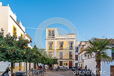 Cordoba, Spain - January 9, 2020: Street View. Orange trees on a city street Editorial Stock Photo