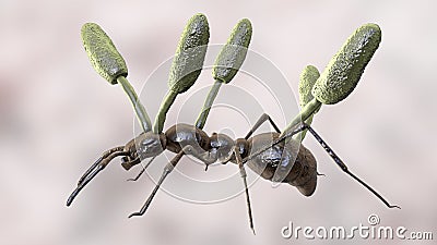 Cordyceps parasitic fungus growing on an ant, 3D illustration Cartoon Illustration