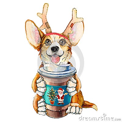 Corgi puppy in Santa Claus hat. Dog with coffee and deer horns. Isolated on white background. Christmas Stock Photo