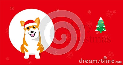 Corgi is sitting there to celebrate Christmas Stock Photo