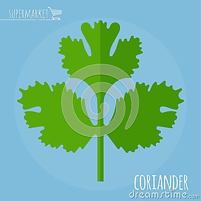 Coriander flat design icon. Vector Illustration