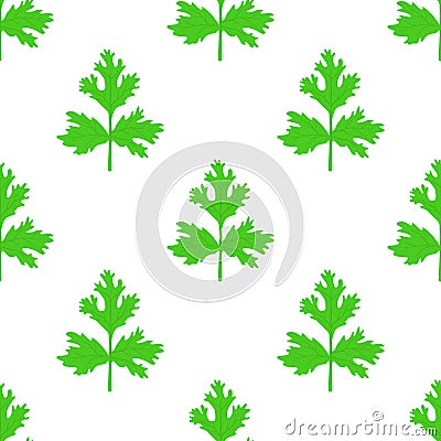 Coriander herb, chinese parsley seamless pattern. Vector illustration Vector Illustration