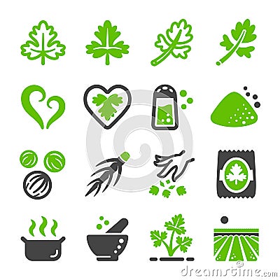 Coriander icon set Vector Illustration