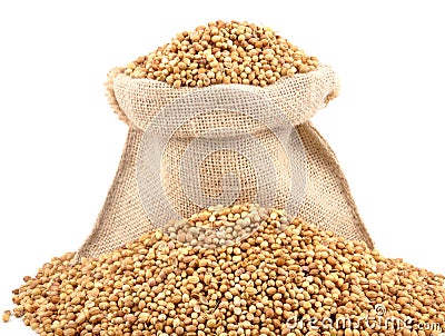 Coriander seed Stock Photo