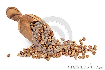 Coriander Seed Stock Photo