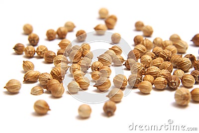 Coriander seed Stock Photo