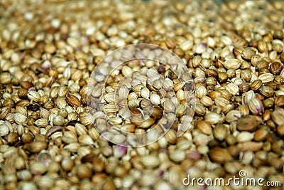 Coriander seed blurred background Stock Photo