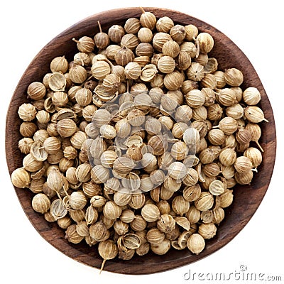 Coriander Seeds Stock Photo