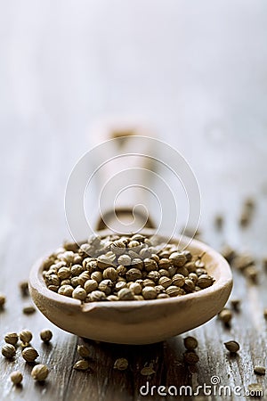 Coriander seeds Stock Photo