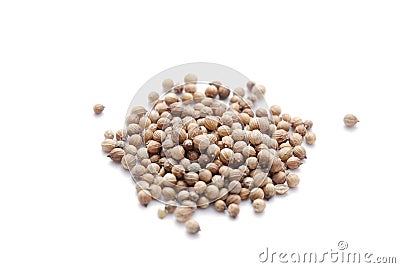 Coriander Seeds Stock Photo