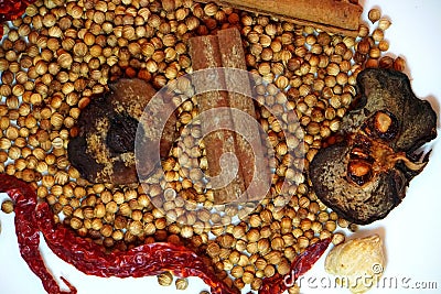 Coriander seeds, dried garcinia, cinnamon sticks and dried chillies Stock Photo