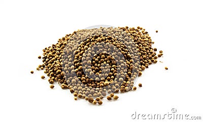 Coriander seeds isolated on white background Stock Photo