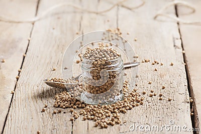 Coriander seeds in jar, dry oriental spice, rustic style, old kitchen table, selective focus Stock Photo
