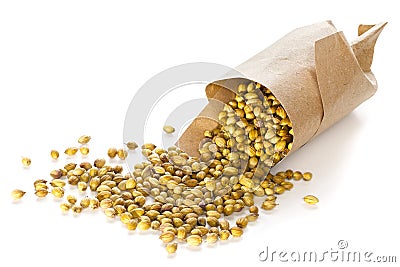 Coriander Seeds Stock Photo