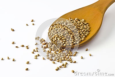 Coriander seeds on spoon Stock Photo