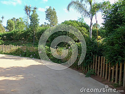 A coridor in the zoo Stock Photo