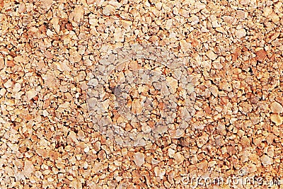 Cork board background Stock Photo