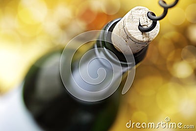 Cork and wine bottle Stock Photo