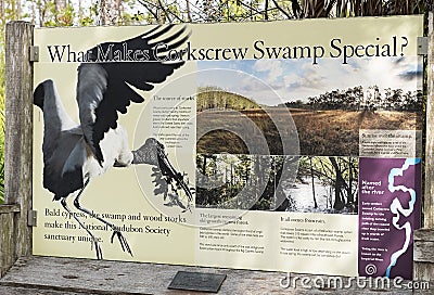 Corkscrew Swamp Reserve near Naples, Florida Editorial Stock Photo