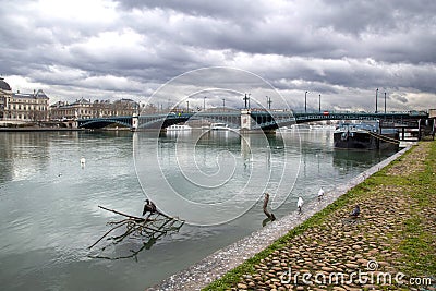 Cormorant drying his wings in front of the Pont de l`UniversitÃ© Stock Photo