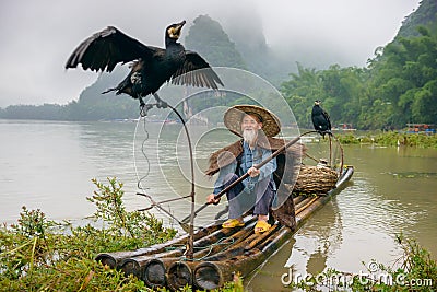 Cormorant Fisherman Editorial Stock Photo