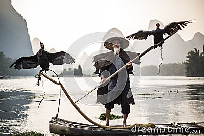 Cormorant fisherman showing birds Stock Photo