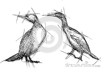 Cormorant Vector Pen Drawing Vector Illustration