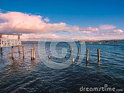 Cormorants sit on the piles near fishing pier in Sidney, Vancou Stock Photo