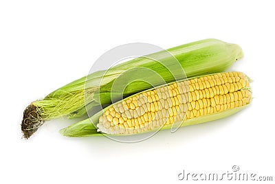 Corn Stock Photo