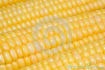 Corn background Stock Photo