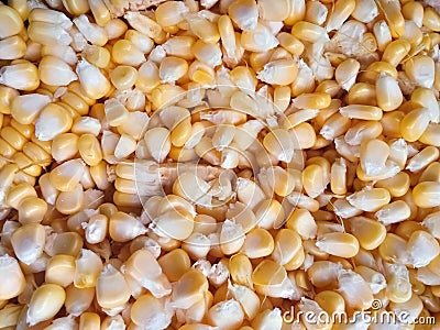 Corn is the basic ingredient for making popcorn Stock Photo