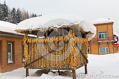 Corn bin Stock Photo