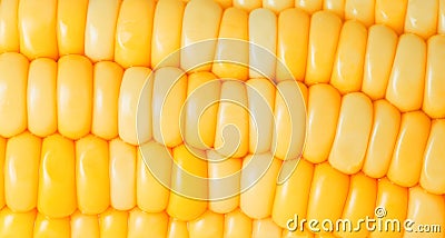 Corn closeup Stock Photo