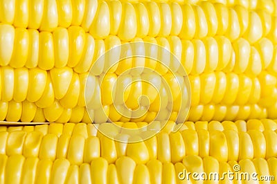 Corn closeup Stock Photo