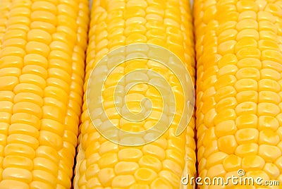 Corn on the cob Stock Photo